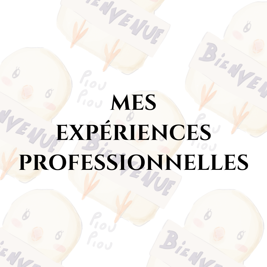 experiences_pro_visuel